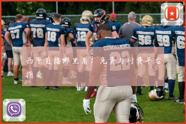 西甲直播哪里看?免费与付费平台指南